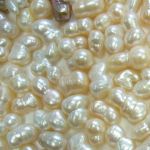 R502_Pearl_9-13mm.JPG