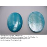 shell_22x30mm_lightblue.JPG