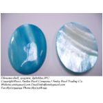 shell_25x35mm_lightblue.JPG