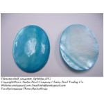 shell_30x40mm_lightblue.JPG